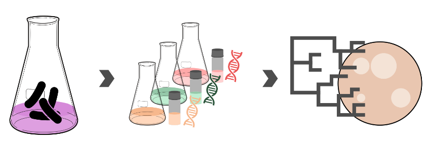 Differential Cultivation Elicits Microbial Chemical Diversity