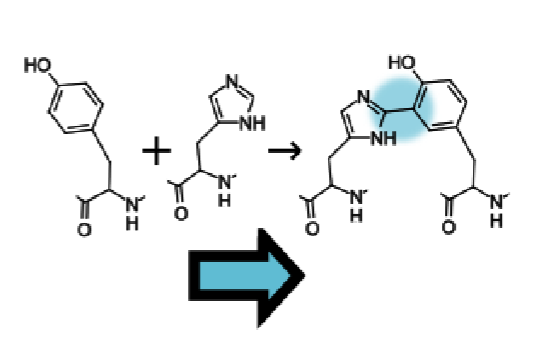 Enzyme Biocuration and Reaction Prediction using Machine Learning